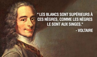 Les blancs sont supérieurs à ces nègres comme ces nègres le sont aux singes -Voltaire