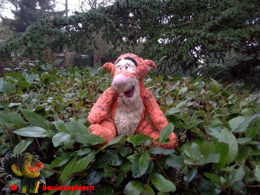 Il séjourna en ce lieu plusieurs semaines, sur une rue passante