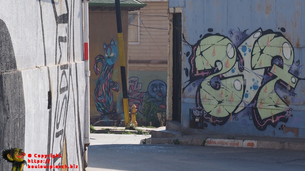 Valparaiso - même les rebords de trottoirs sont tagués