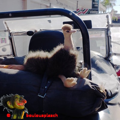 Gardienne de voiture de collection