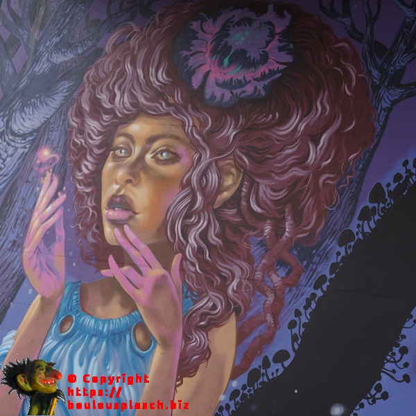 sous une autoroute à Brisbane