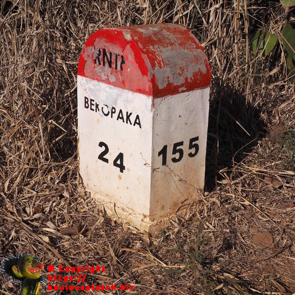 Borme Malgache