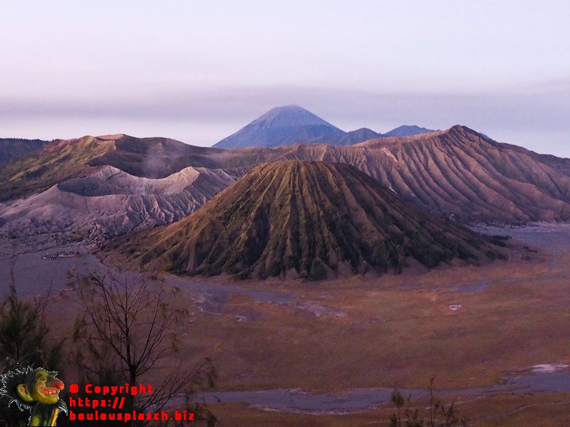 Bromo
