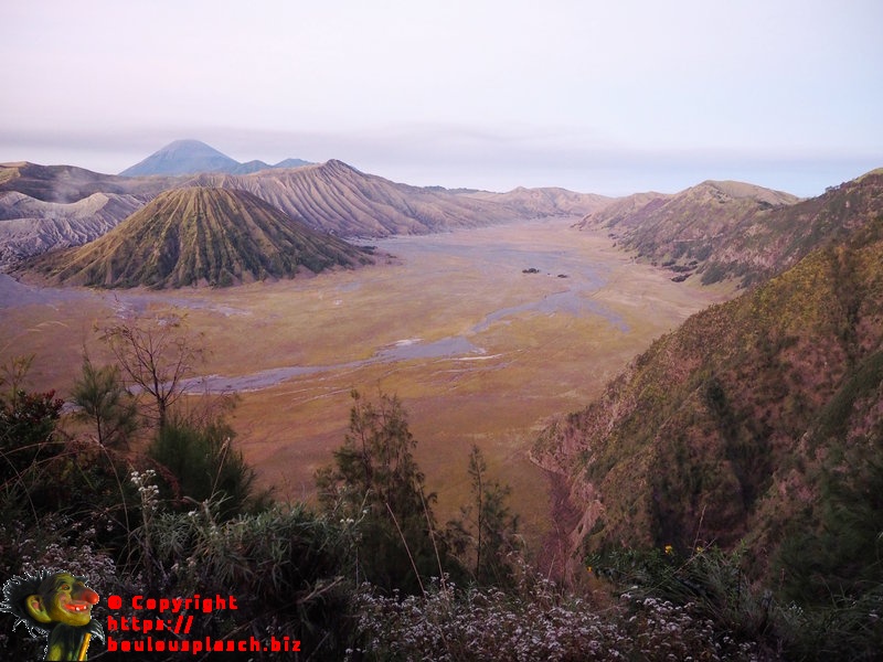 Bromo