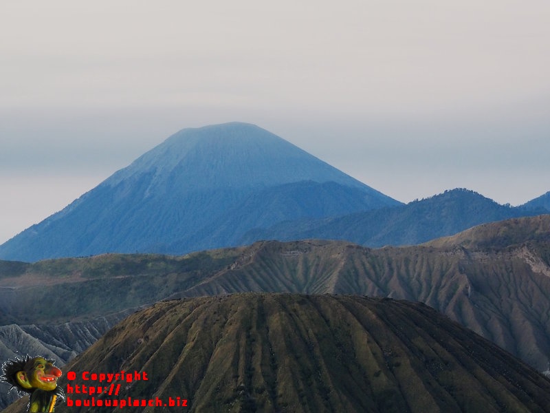 Bromo
