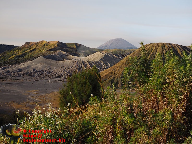 Bromo