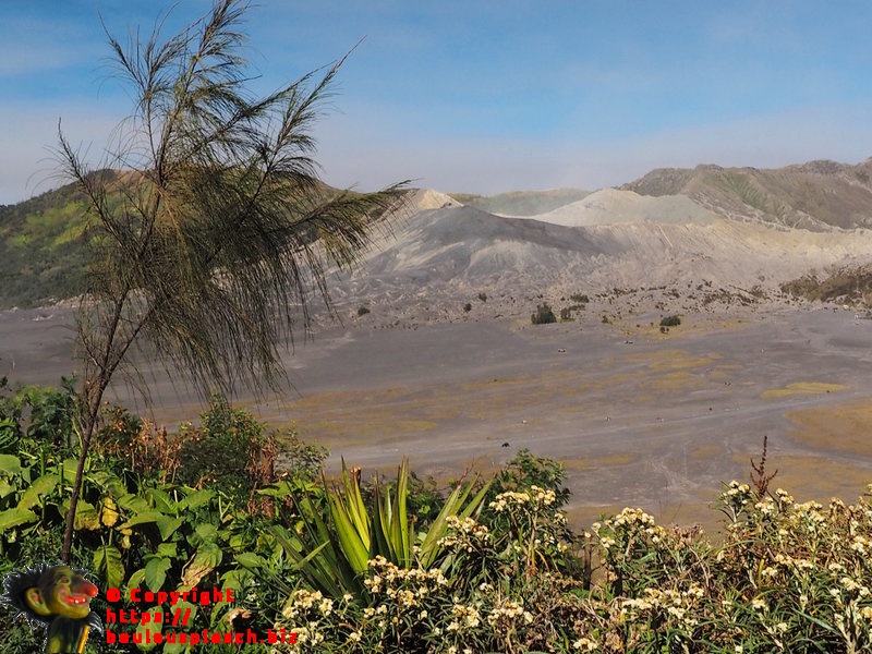 Bromo