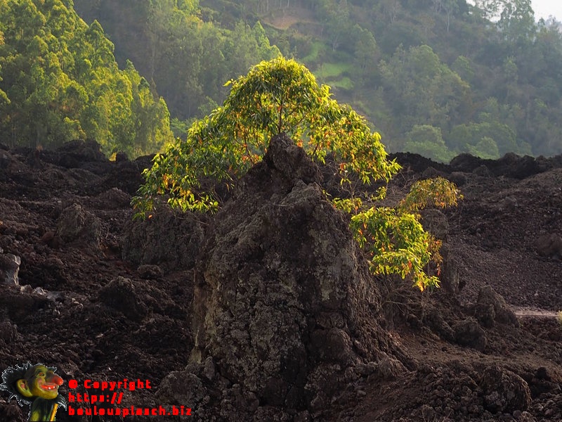 Gunung Batur Bali