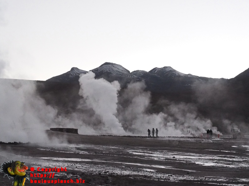 Geyser Del Tatio