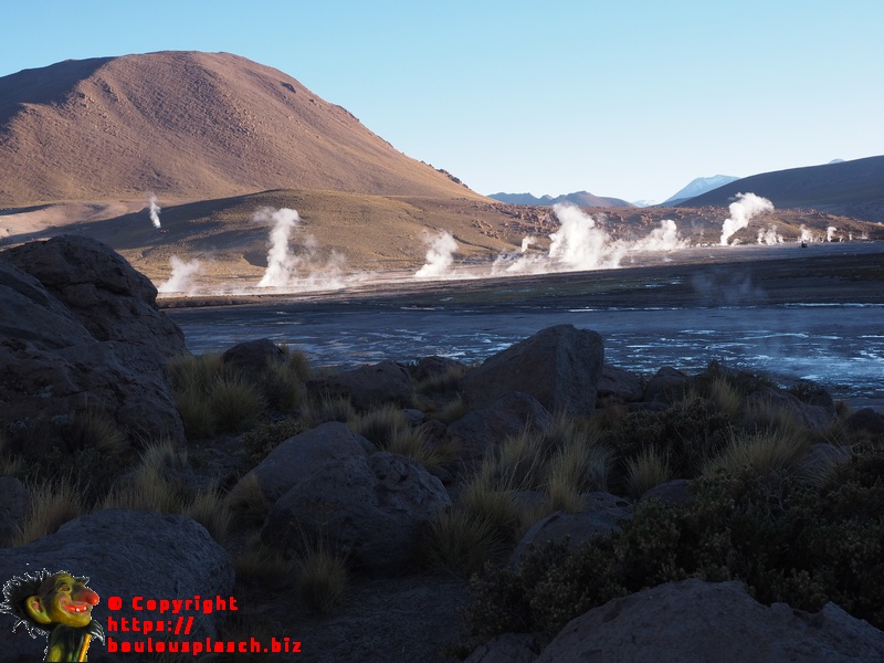 Geyser Del Tatio