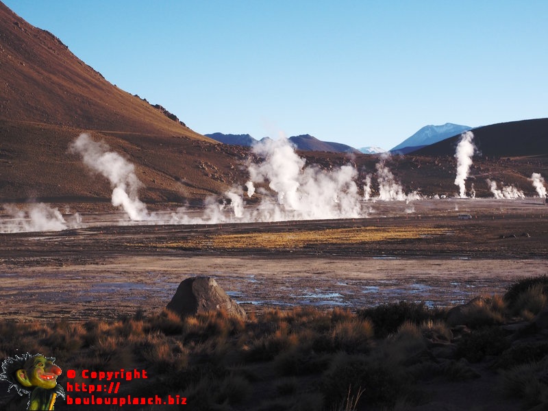 Geyser Del Tatio