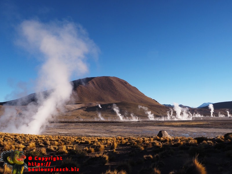 Geyser Del Tatio