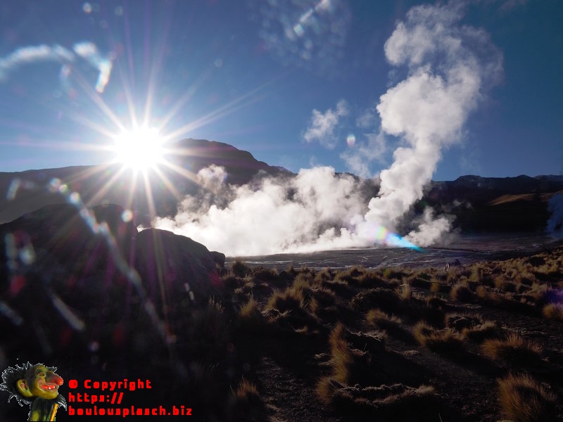 Geyser Del Tatio