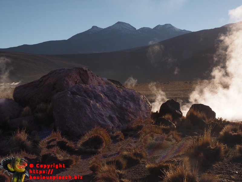 Geyser Del Tatio