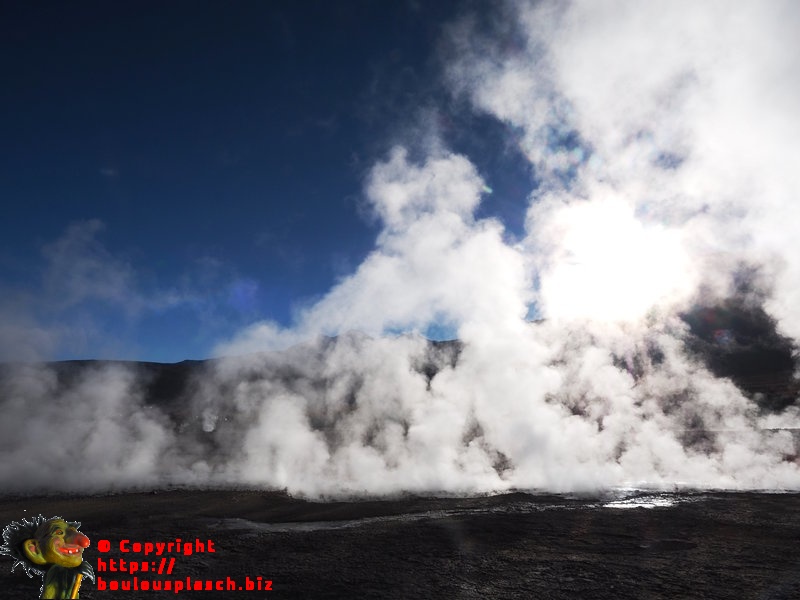 Geyser Del Tatio
