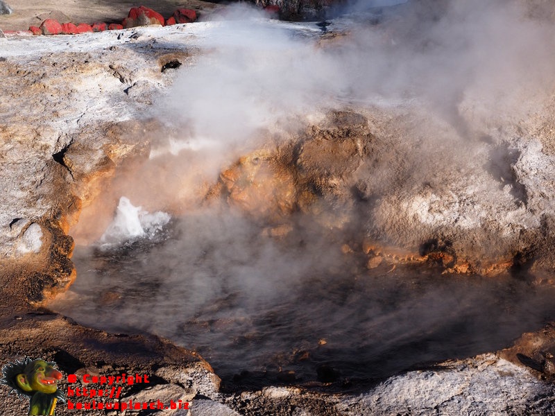 Geyser Del Tatio