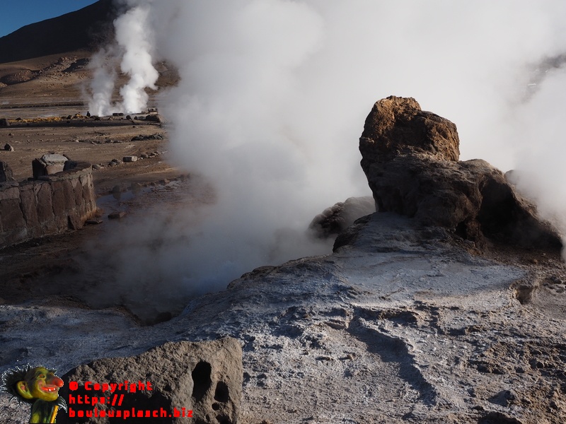 Geyser Del Tatio