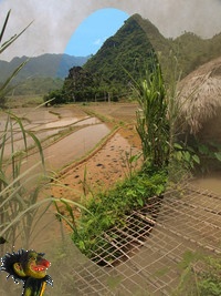 Une éclaircie dans un ciel vietnamien pollué