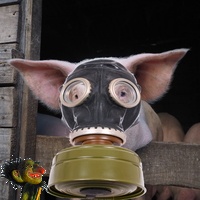 Cochon masqué