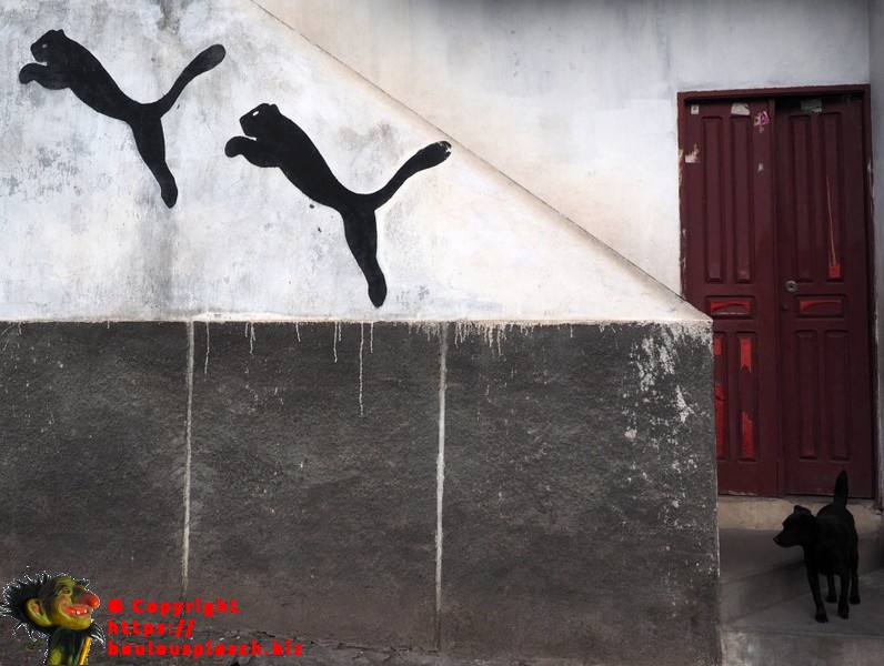 Vrai et faux au cap-vert