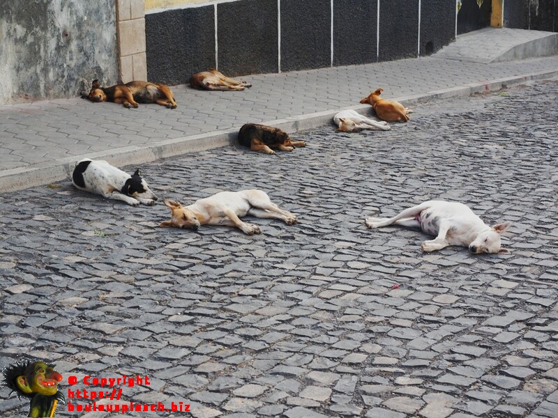 Rue cap-verdienne paisible
