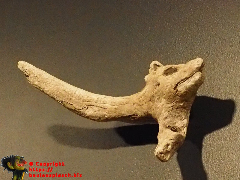 Sculpture de tête-Sydney