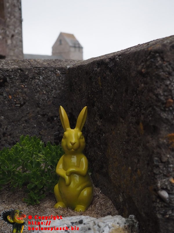 Lapin caché on font de la cour