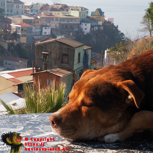Sur les terrasses de Valparaiso