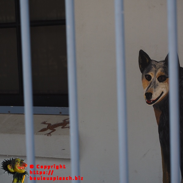 Trompe l'oeil australien