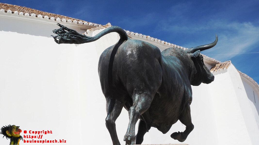 olé! avant la corrida