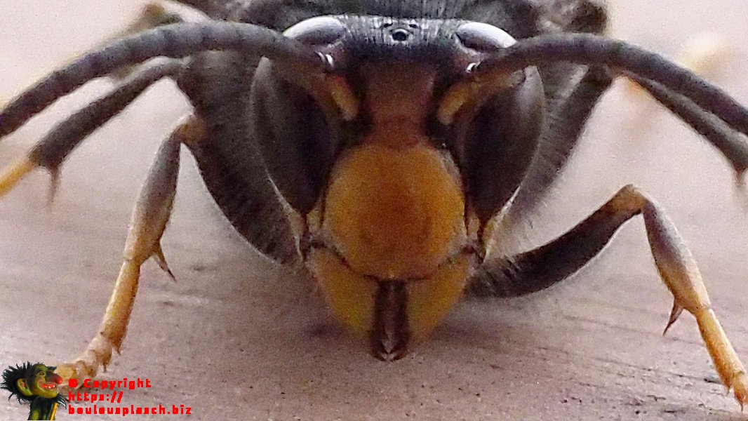 gros plan sur mon balcon