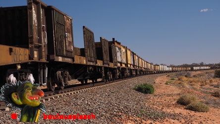 Long train de marchandises