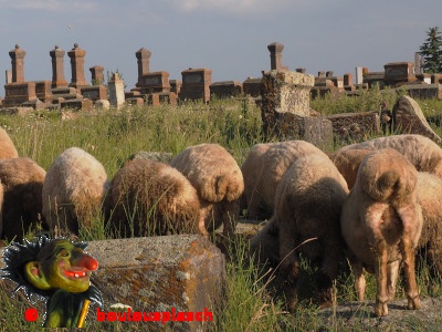 Moutons dans un cimetière arménien